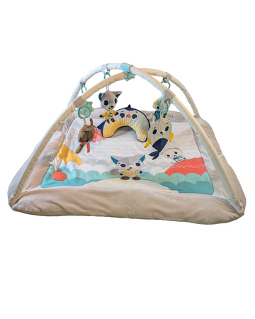 Tiny Love - Tapis d'éveil "Gymini Plush"