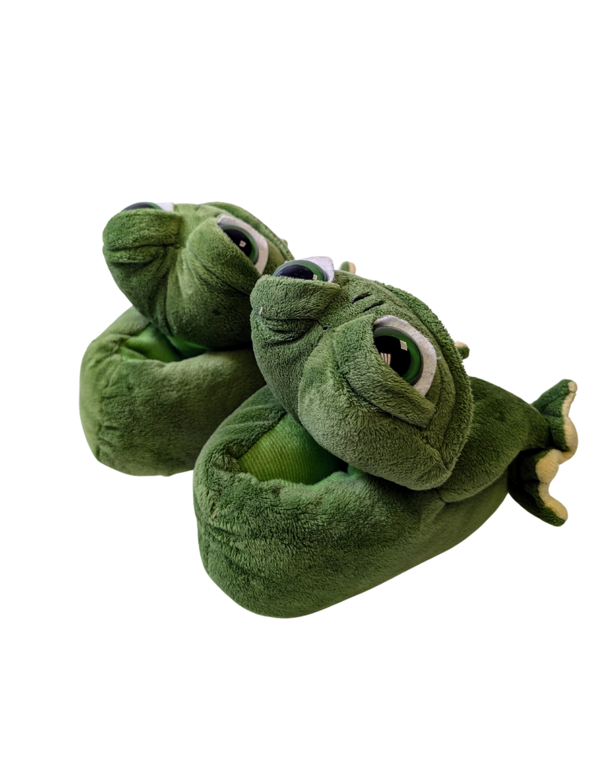 Frog Slippers - Size 11-12