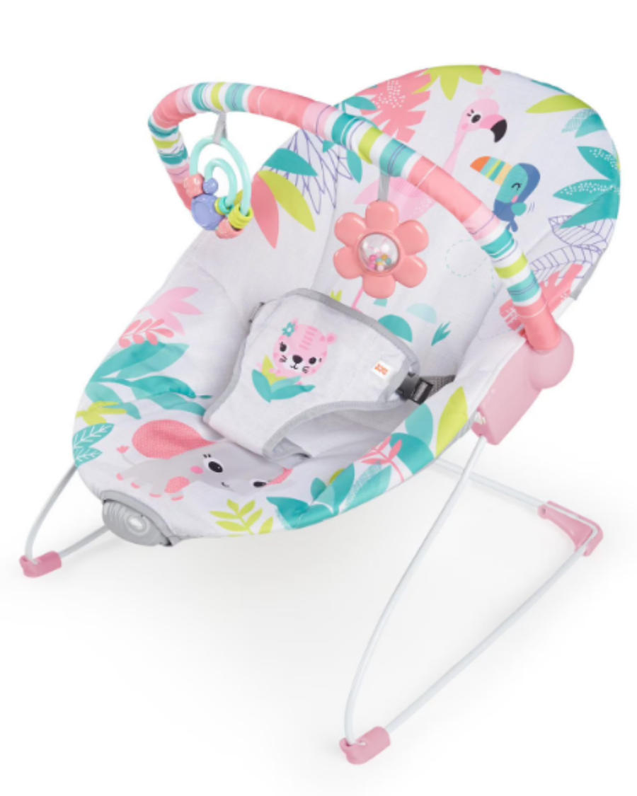 Vibrating Bouncer Seat - Bright Starts