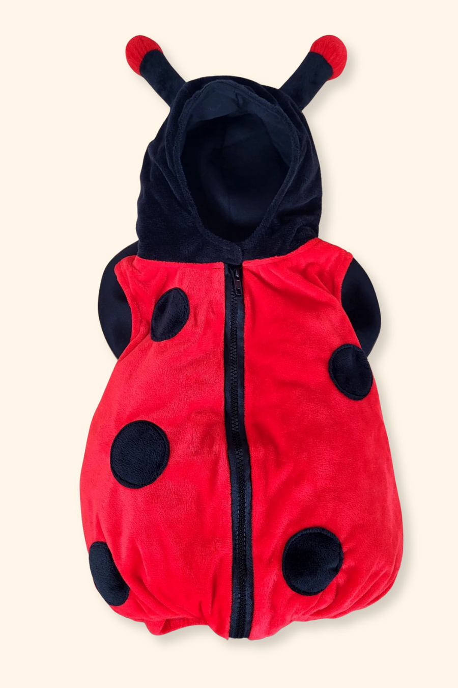 Lot Mystère Halloween avec costume coccinelle 6-12M - Fille