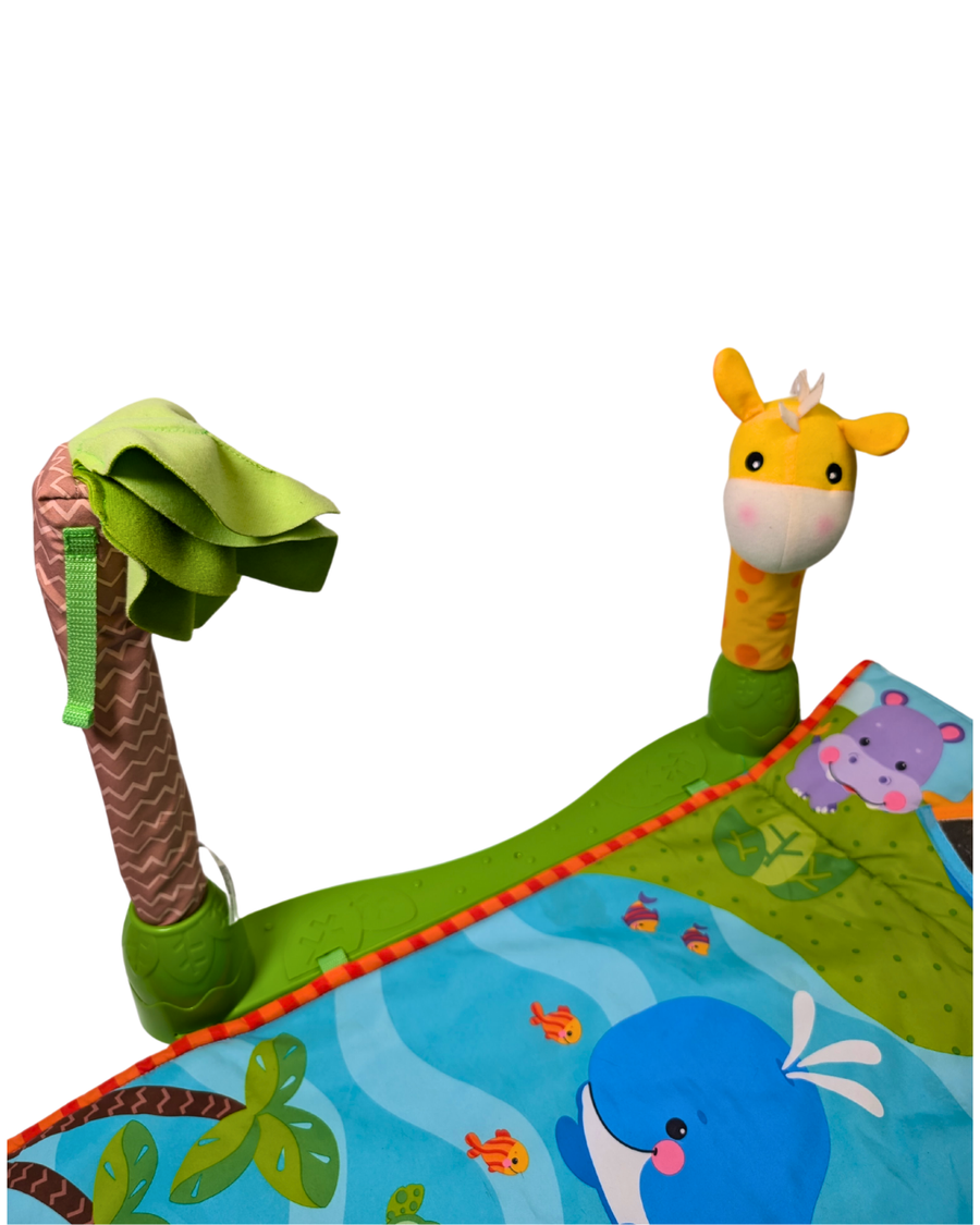 Play mat - Fisher Price