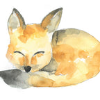 Greeting card - Fox